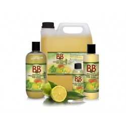 BBSHAMPOOMEDCITRUS250ml-20