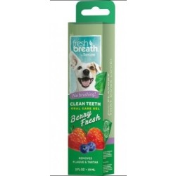 CleanTeethOralCareGelBerryFresh-20