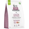 BritCareDogSustainableJuniorLB-01