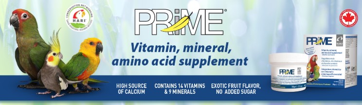 prime vitamin